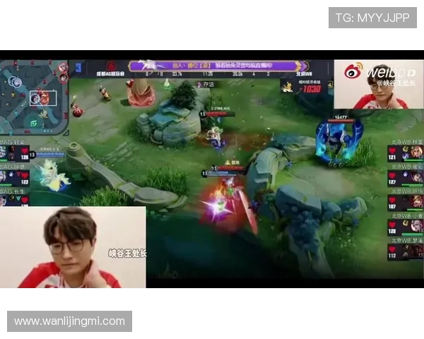 以Cat 王者为核心探寻虚拟竞技世界中团队协作与个人荣耀的平衡之道