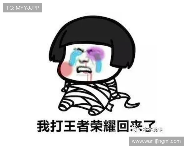 专访刘丽揭秘王者荣耀成功背后的策略与创新之路