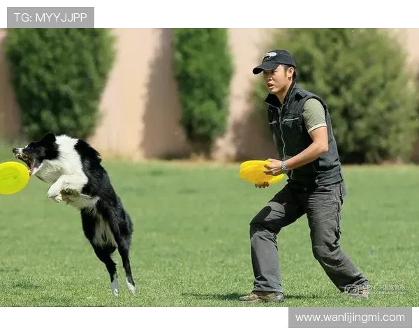 南京飞盘队在极限运动世界杯中的逆袭之路与荣耀时刻回顾